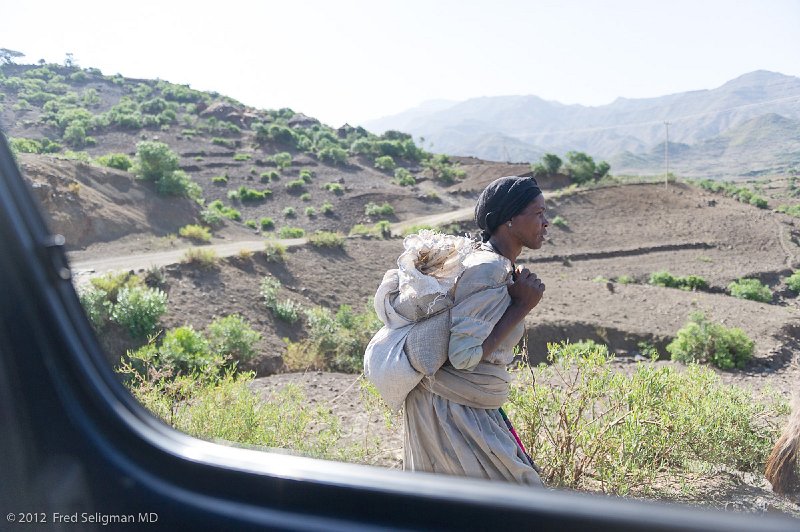 20120403_090234 Nikon D3S 2x3.jpg - Lady seen through car window